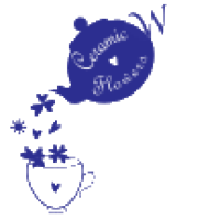logo transparent
